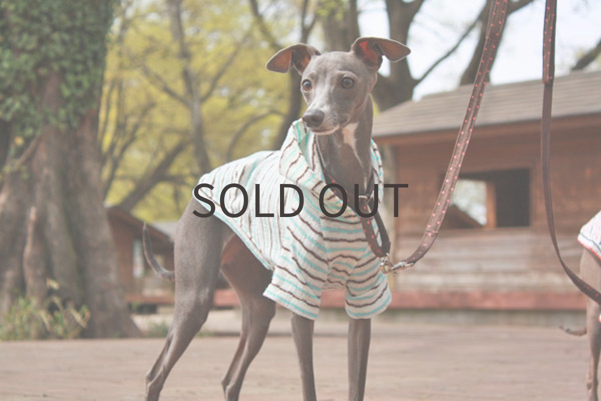 画像5: ゆらゆらマリンボーダー（アクア×チョコ） (5)