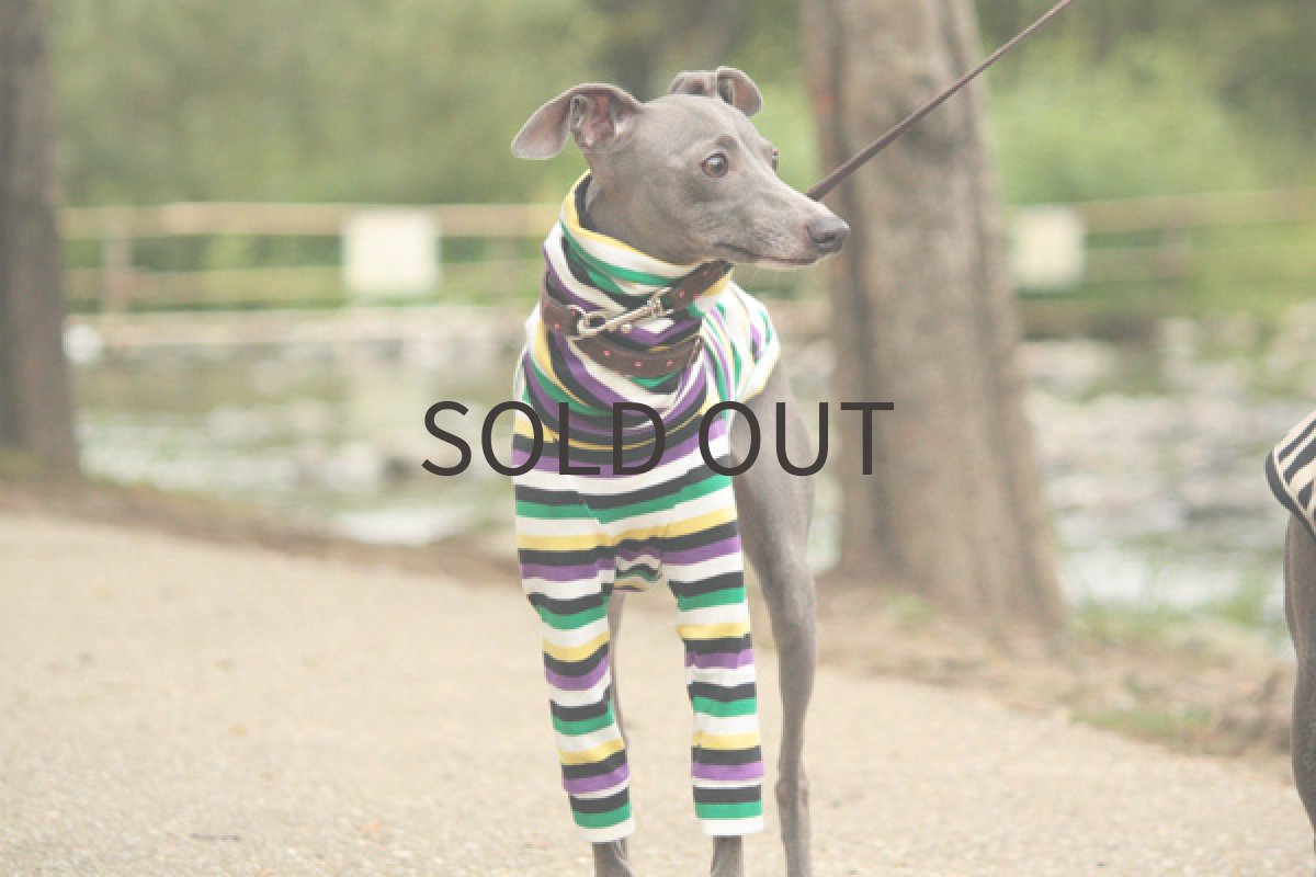 画像3: ベジボーダー (3)