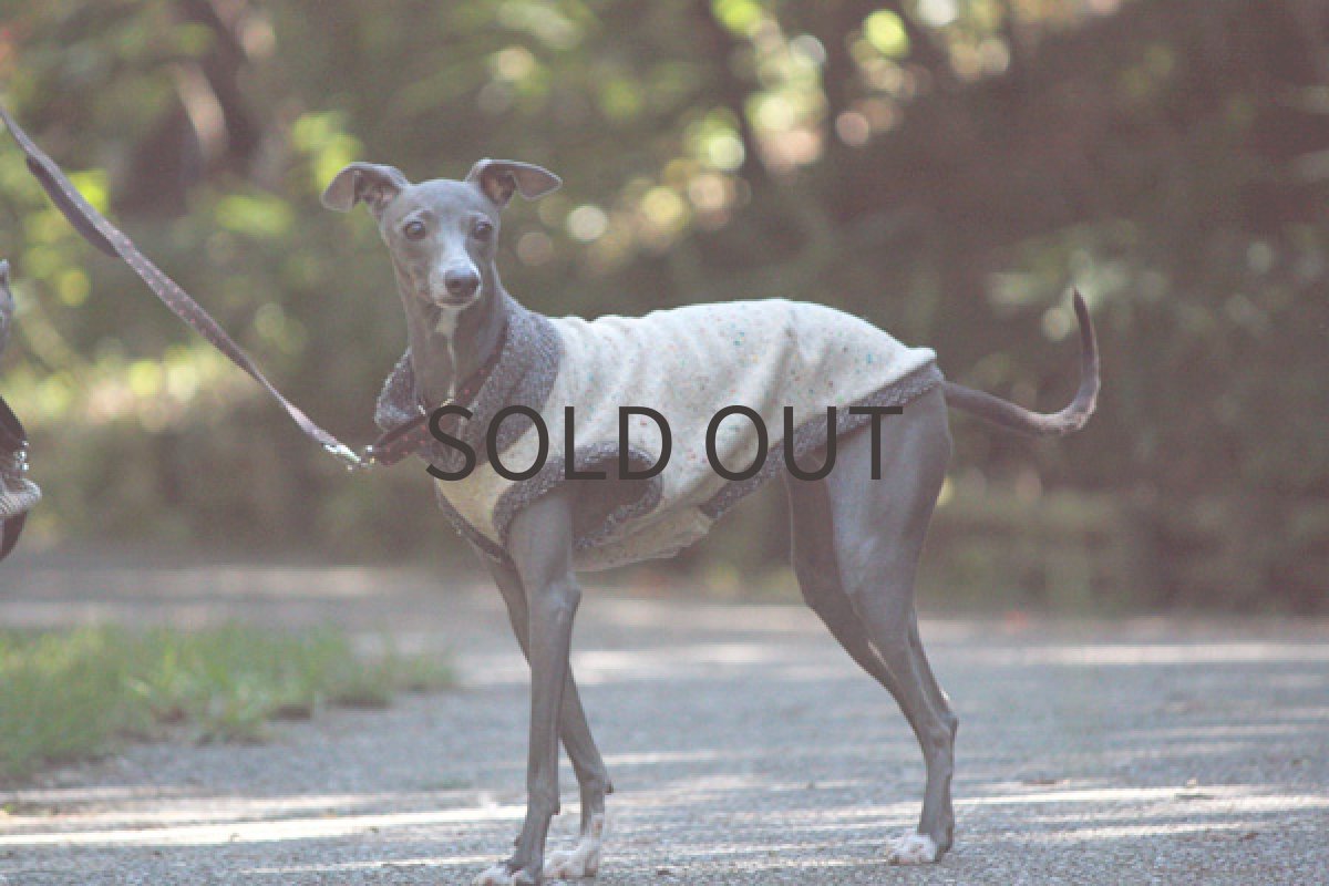 画像4: カラーネップベスト(クリーム) (4)