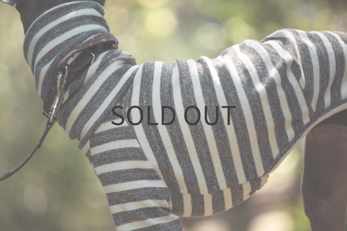 画像5: 杢調グレーボーダー (5)