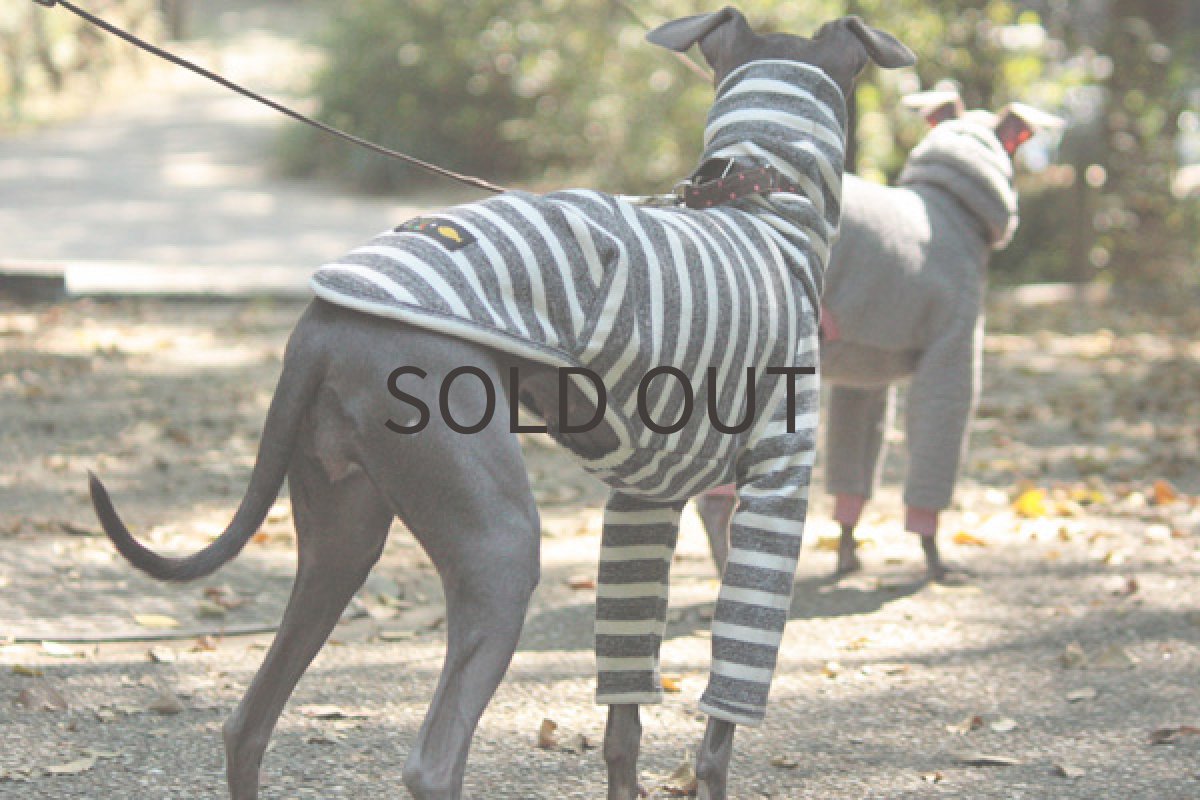 画像2: 杢調グレーボーダー (2)