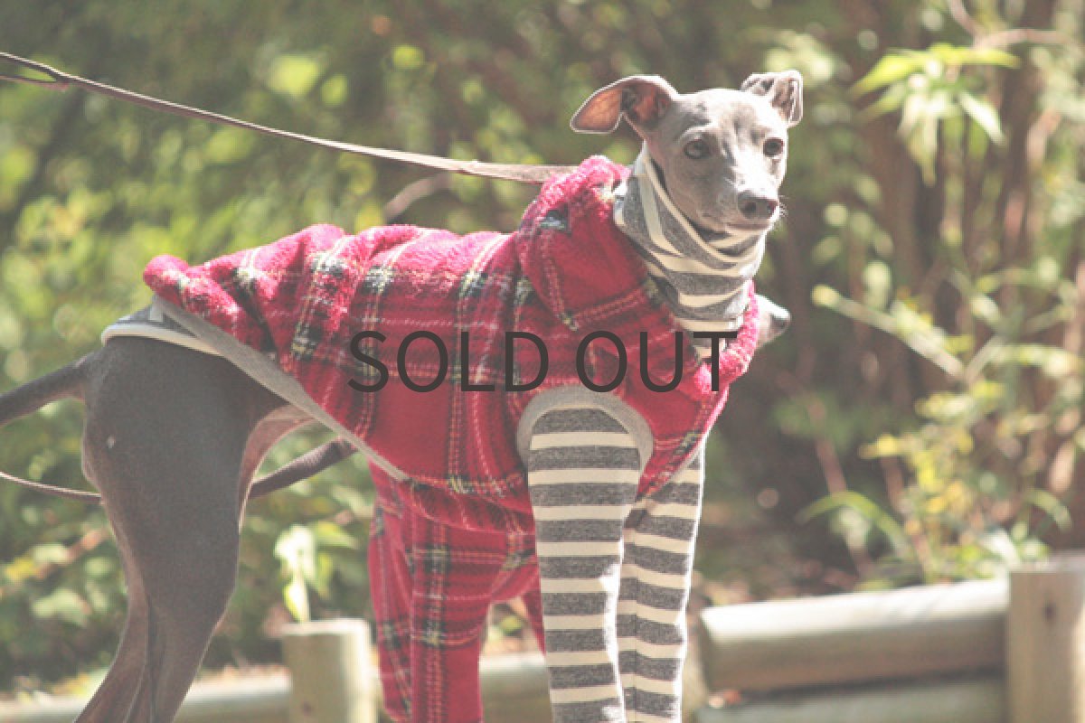 画像3: 杢調グレーボーダー (3)