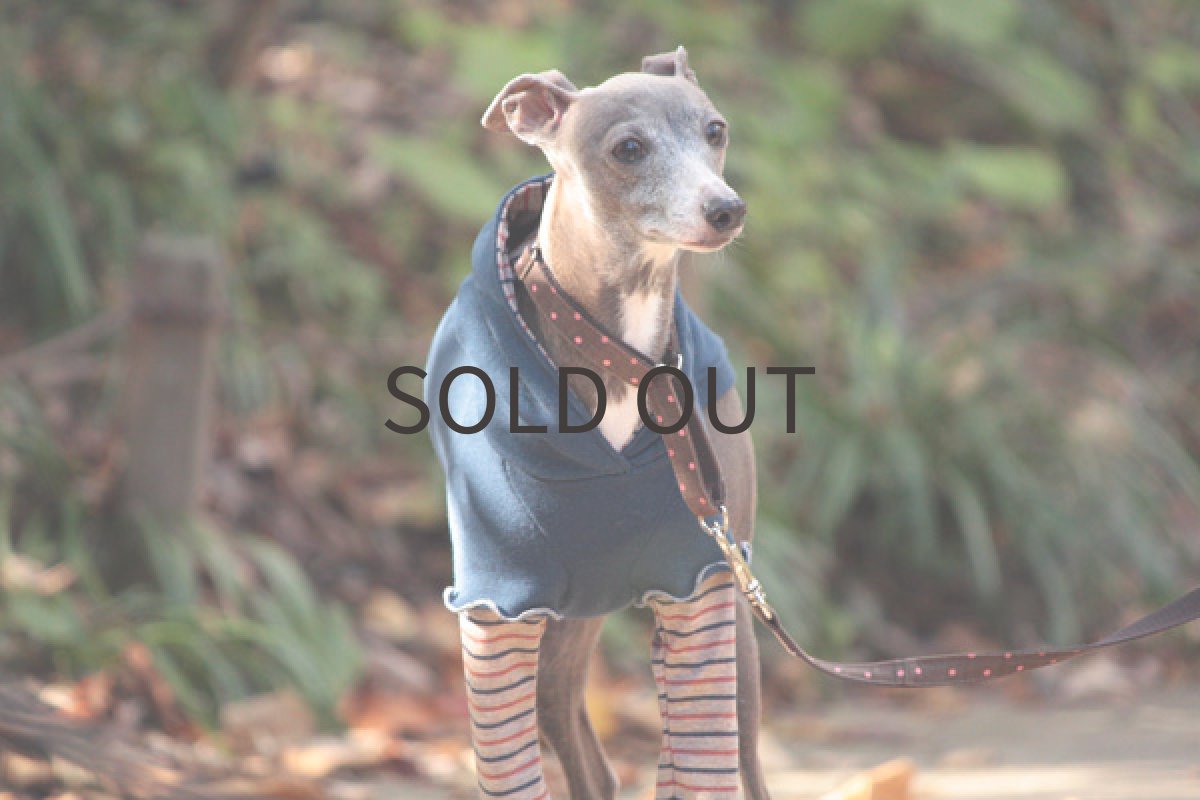 画像2: チューリップ袖の重ね着風(バミューダブルー) (2)