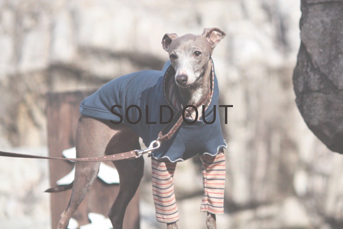 画像4: チューリップ袖の重ね着風(バミューダブルー) (4)