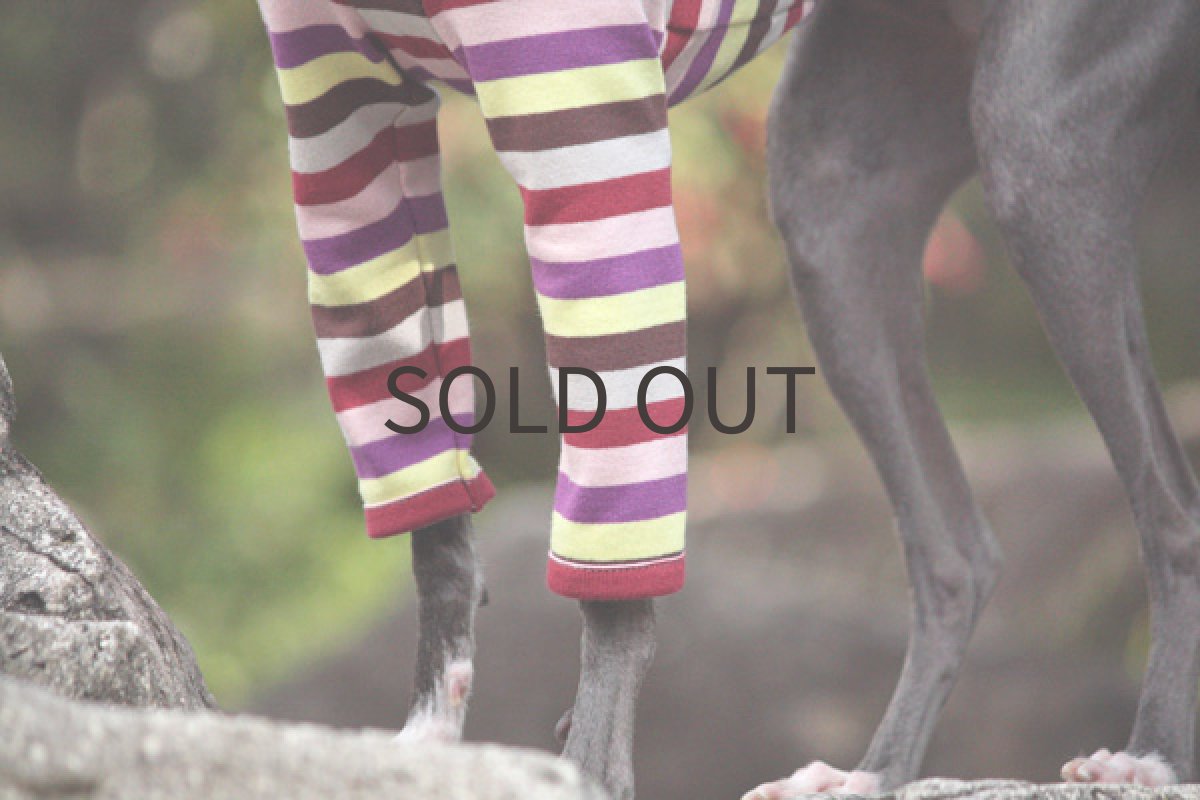 画像4: キャンディーボーダー（ワイン） (4)