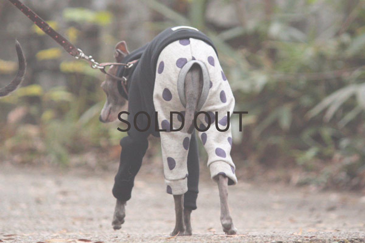 画像4: ドットロンパ重ね着風(パープル) (4)