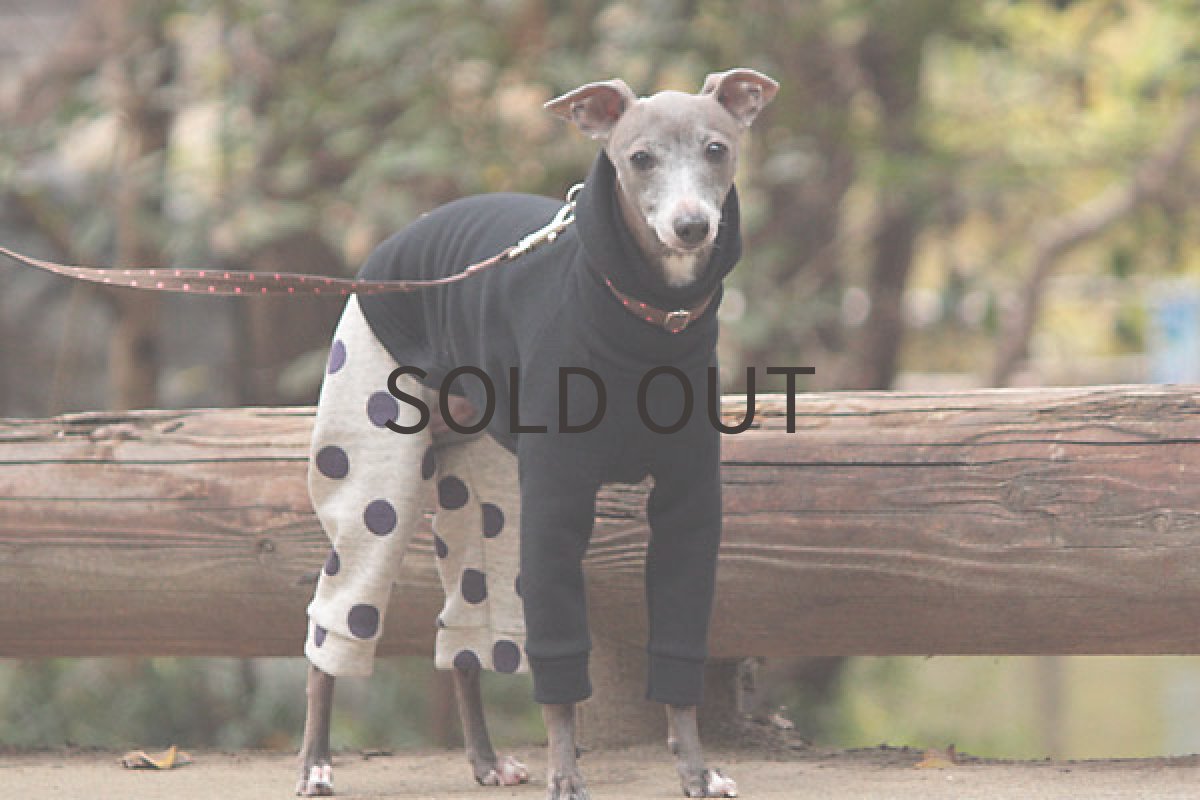 画像5: ドットロンパ重ね着風(パープル) (5)