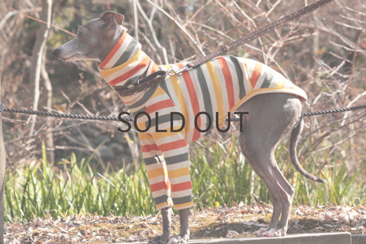 画像5: ボーダーシャツ（かぼちゃプリン) (5)