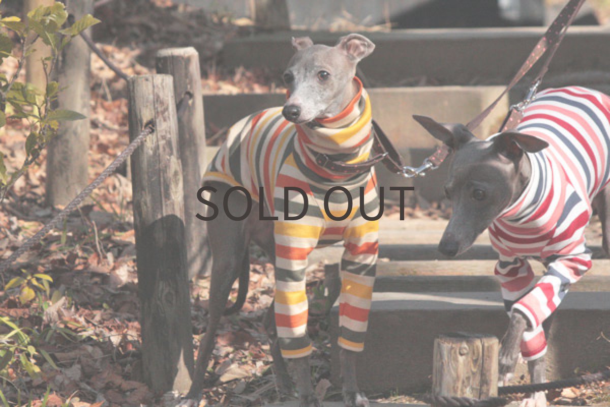 画像4: ボーダーシャツ（かぼちゃプリン) (4)