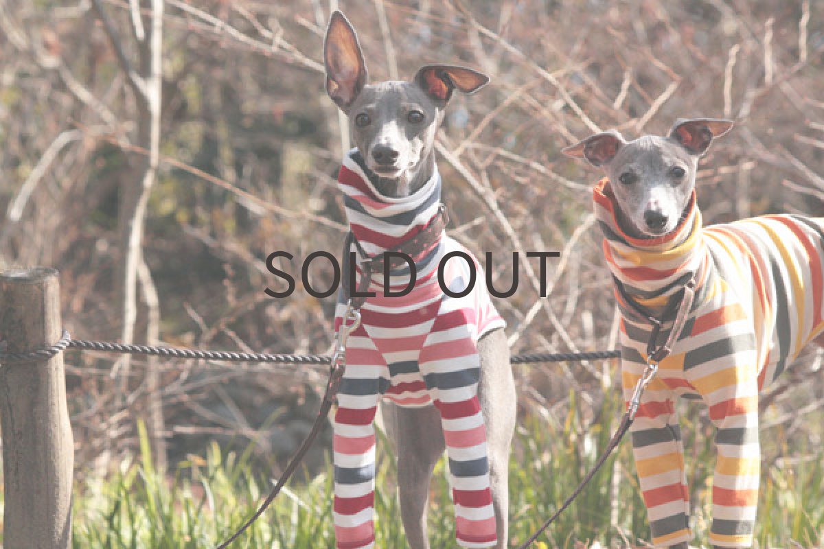 画像4: ボーダーシャツ（サクラ） (4)