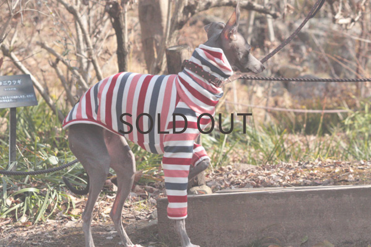 画像2: ボーダーシャツ（サクラ） (2)