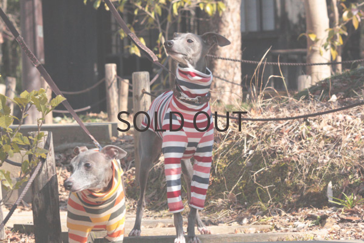 画像3: ボーダーシャツ（サクラ） (3)