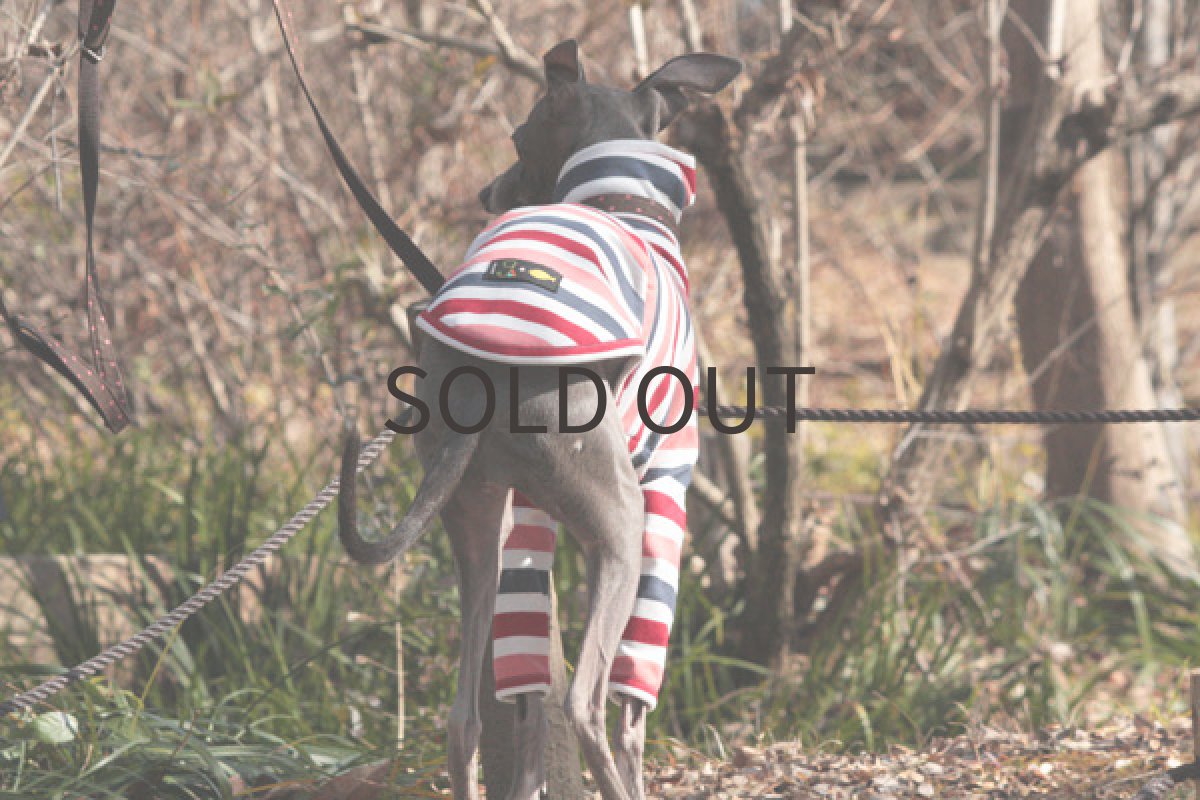 画像5: ボーダーシャツ（サクラ） (5)