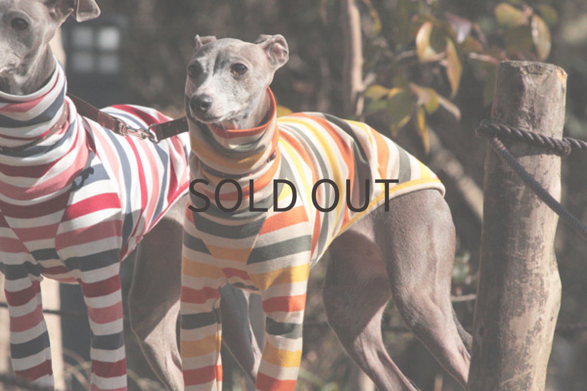 画像2: ボーダーシャツ（かぼちゃプリン) (2)