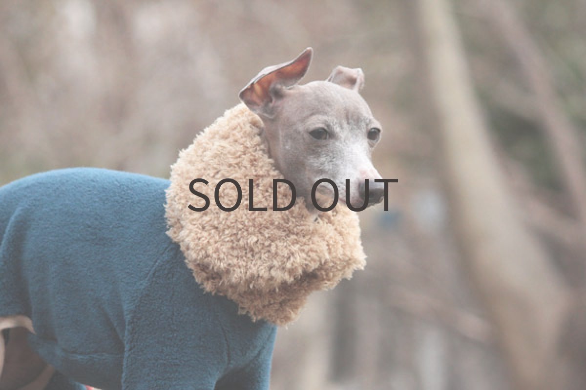 画像5: リングネックロンパ（サファイアブルー） (5)