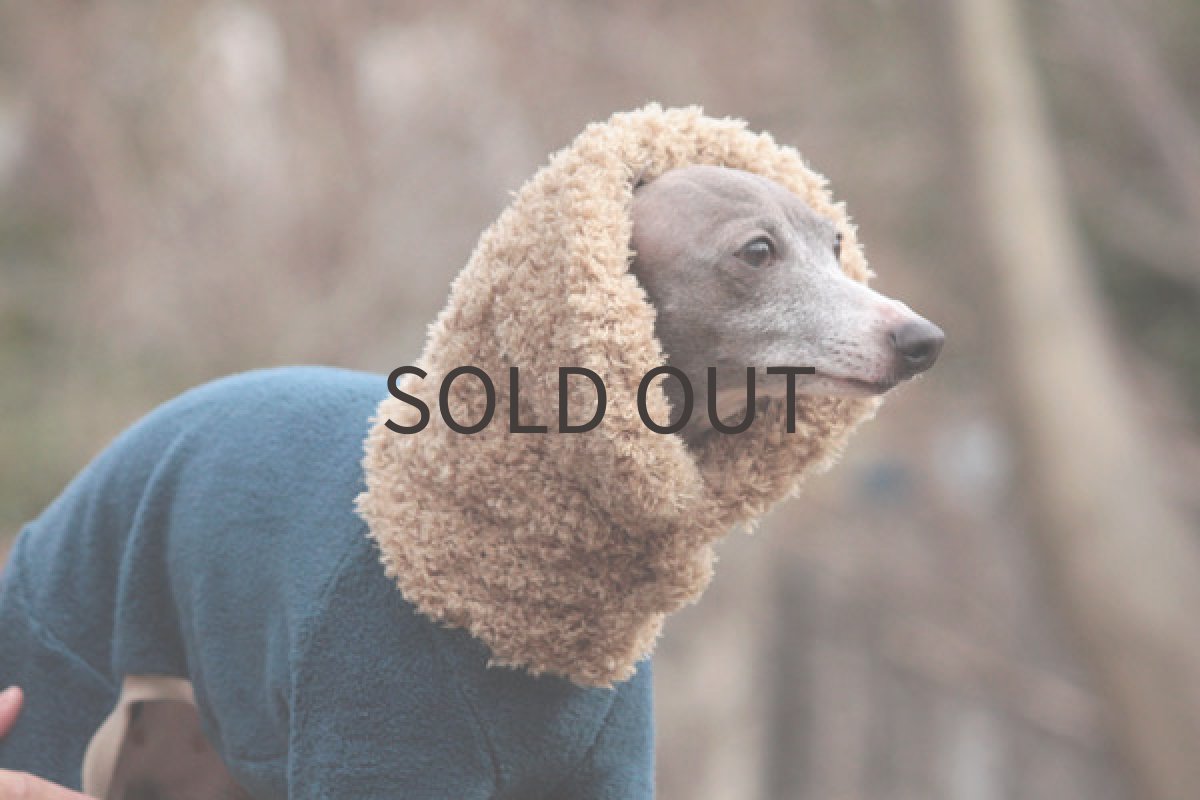 画像4: リングネックロンパ（サファイアブルー） (4)