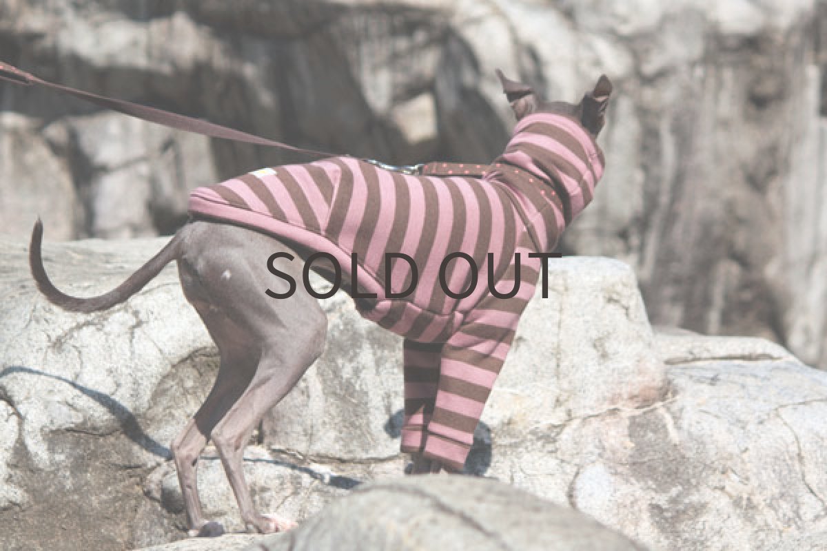 画像3: スプリングトレーナー（いちごチョコ） (3)