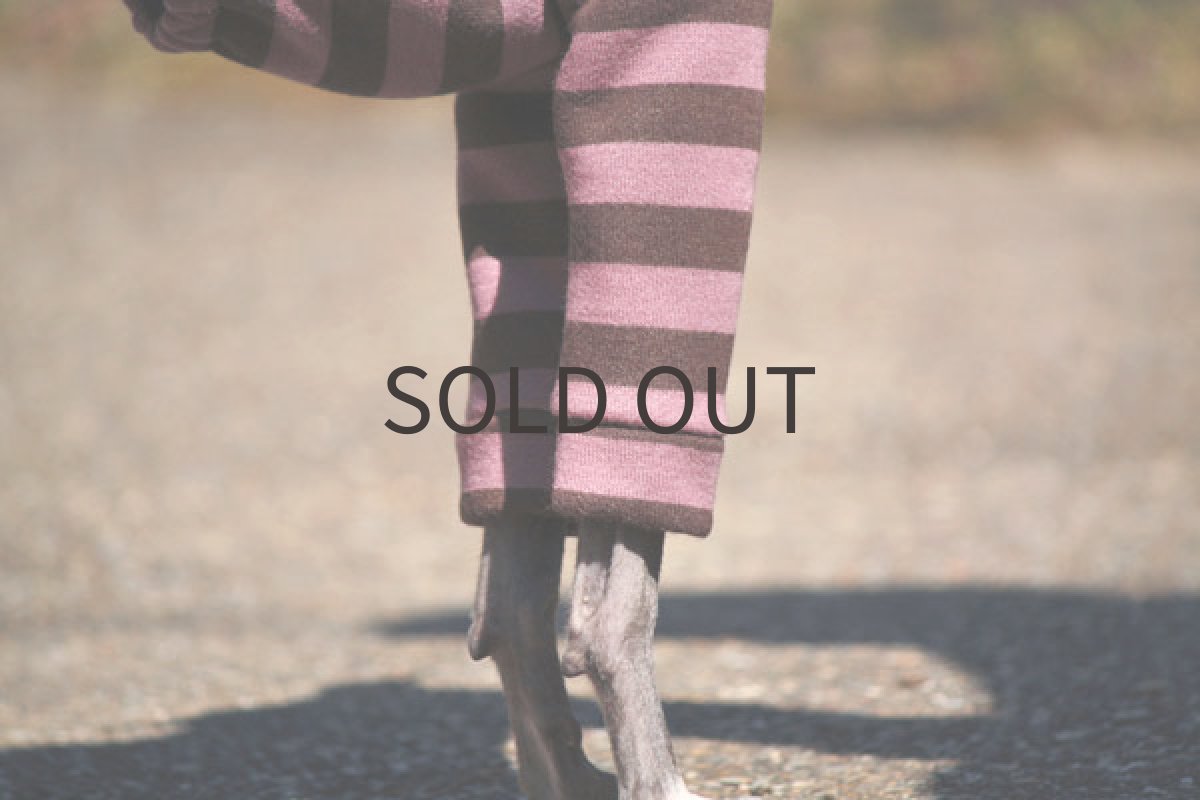 画像4: スプリングトレーナー（いちごチョコ） (4)