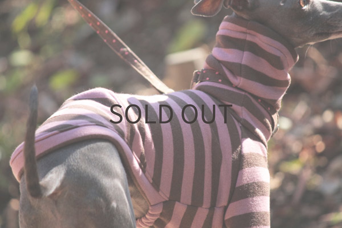 画像2: スプリングトレーナー（いちごチョコ） (2)