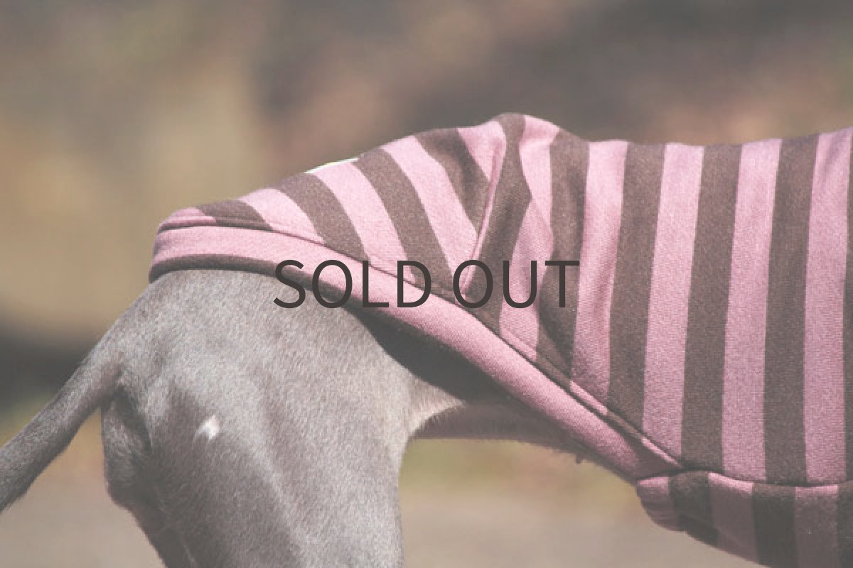 画像5: スプリングトレーナー（いちごチョコ） (5)