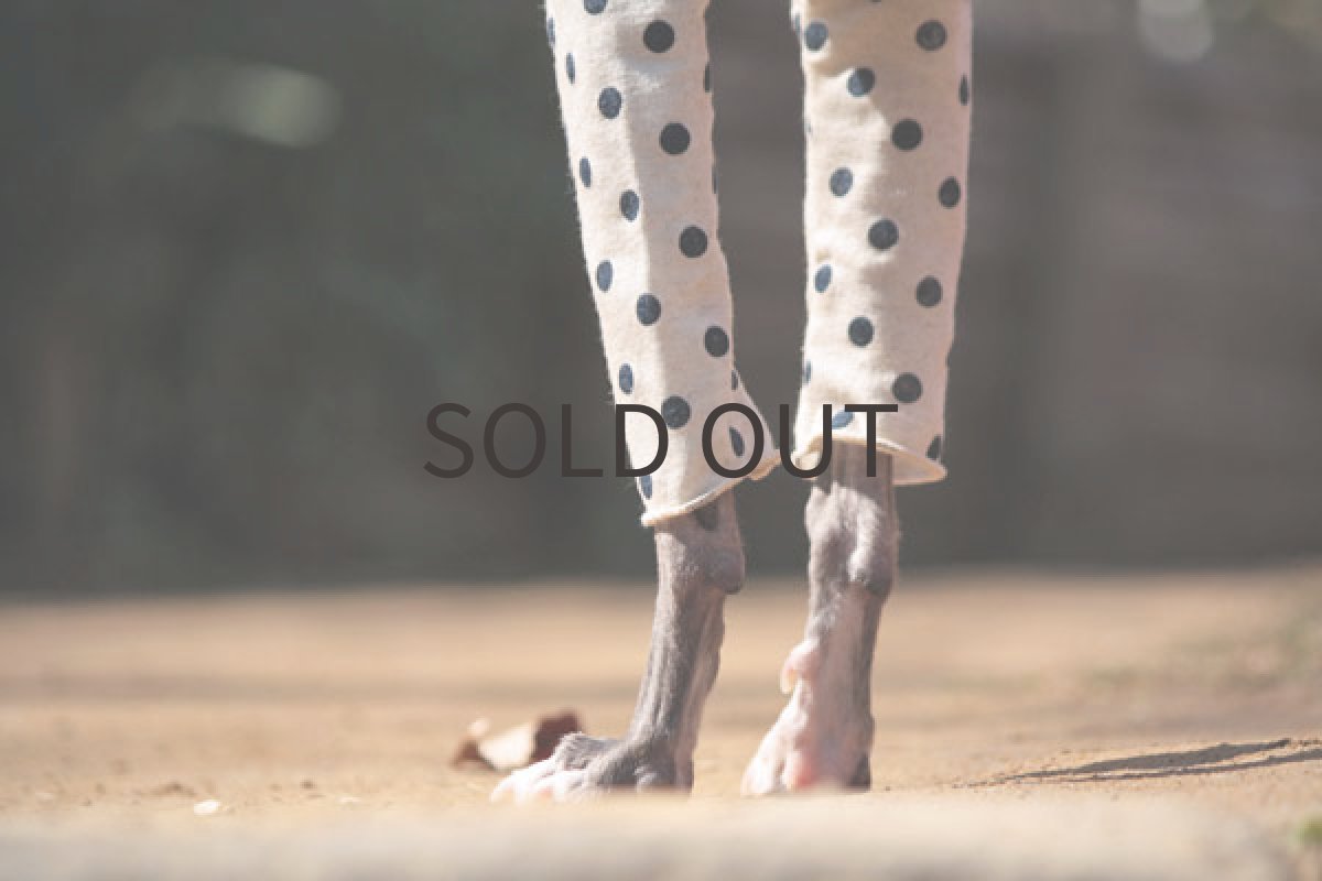 画像5: 春のクシュクシュ(かすれドット) (5)