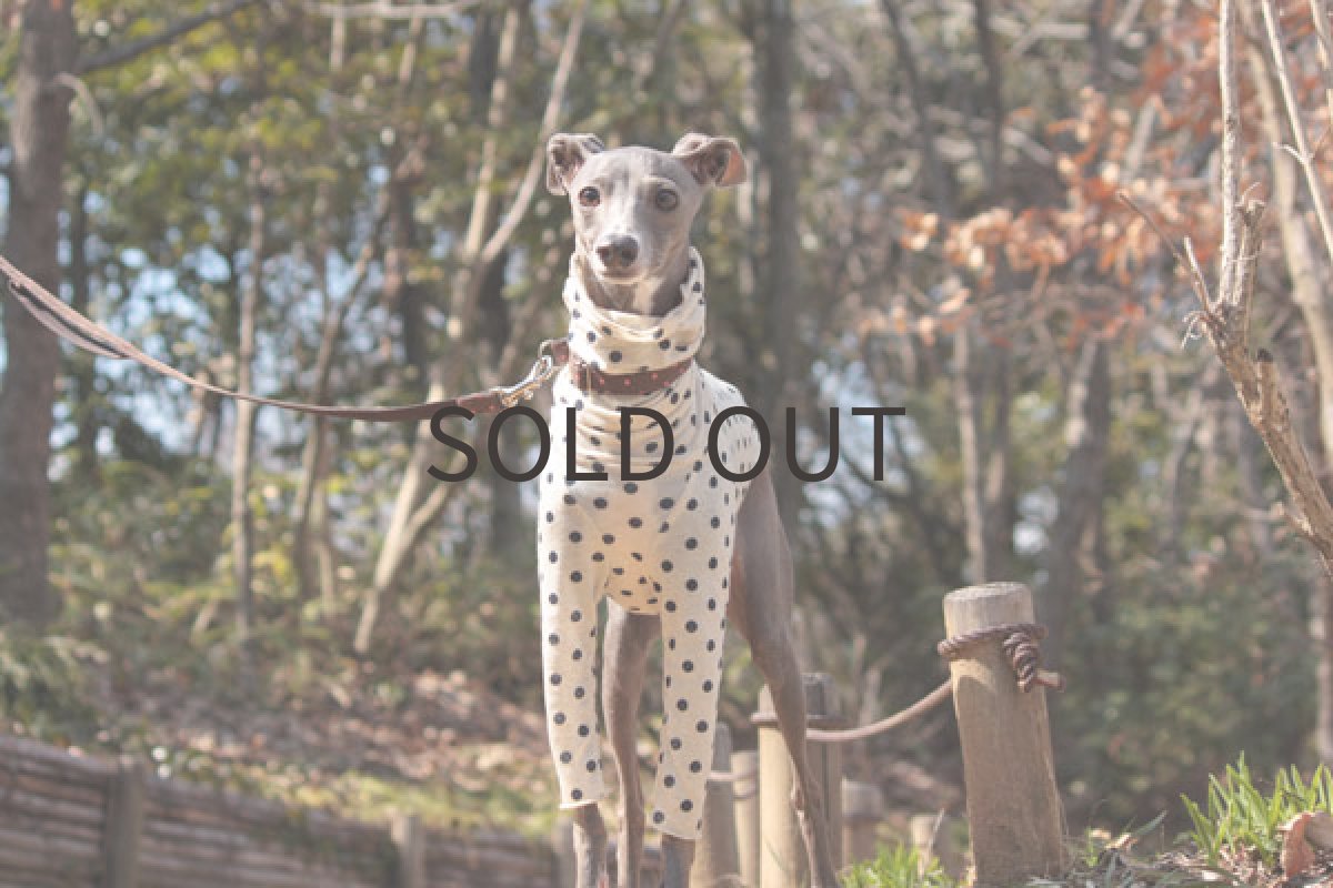 画像2: 春のクシュクシュ(かすれドット) (2)