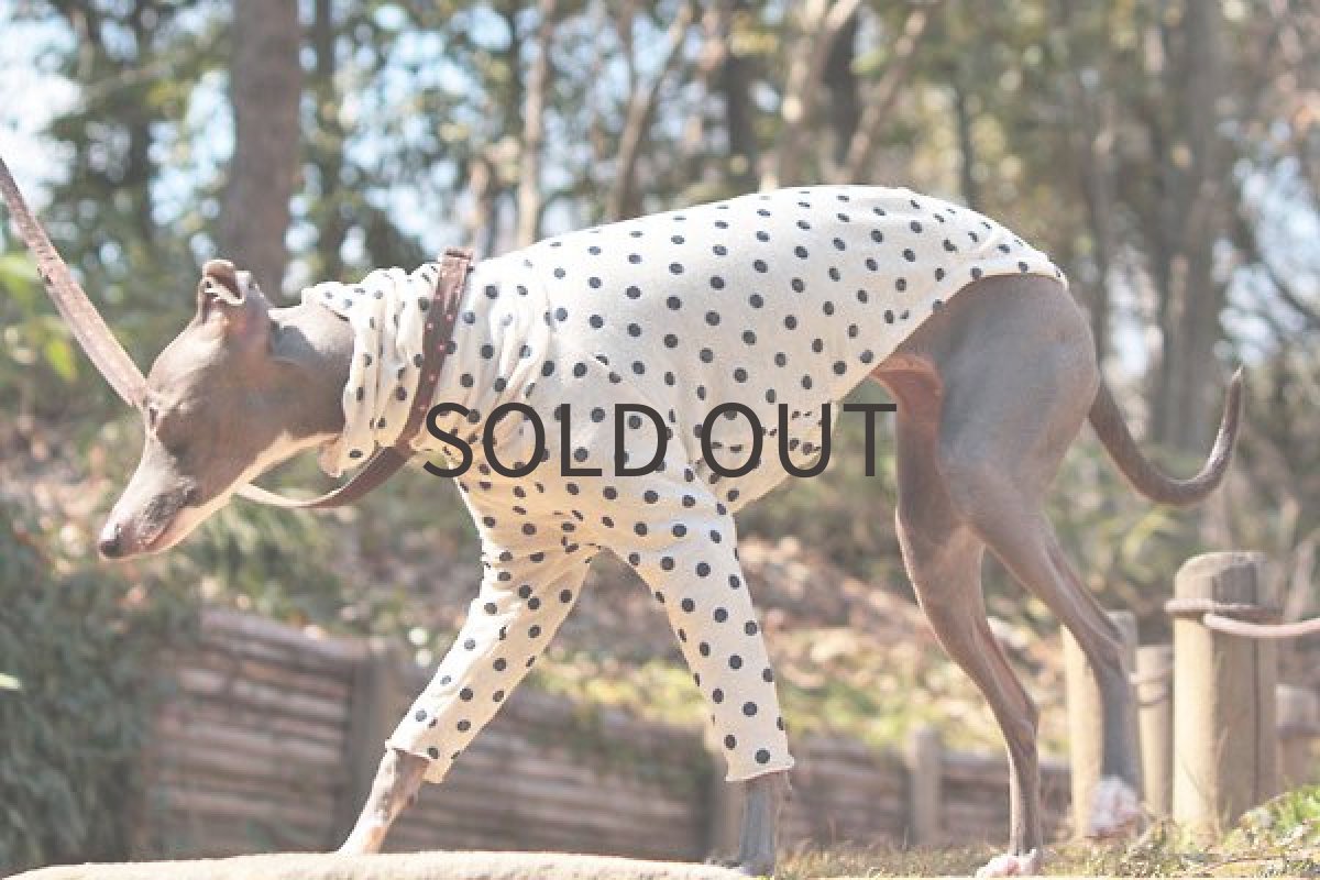 画像4: 春のクシュクシュ(かすれドット) (4)