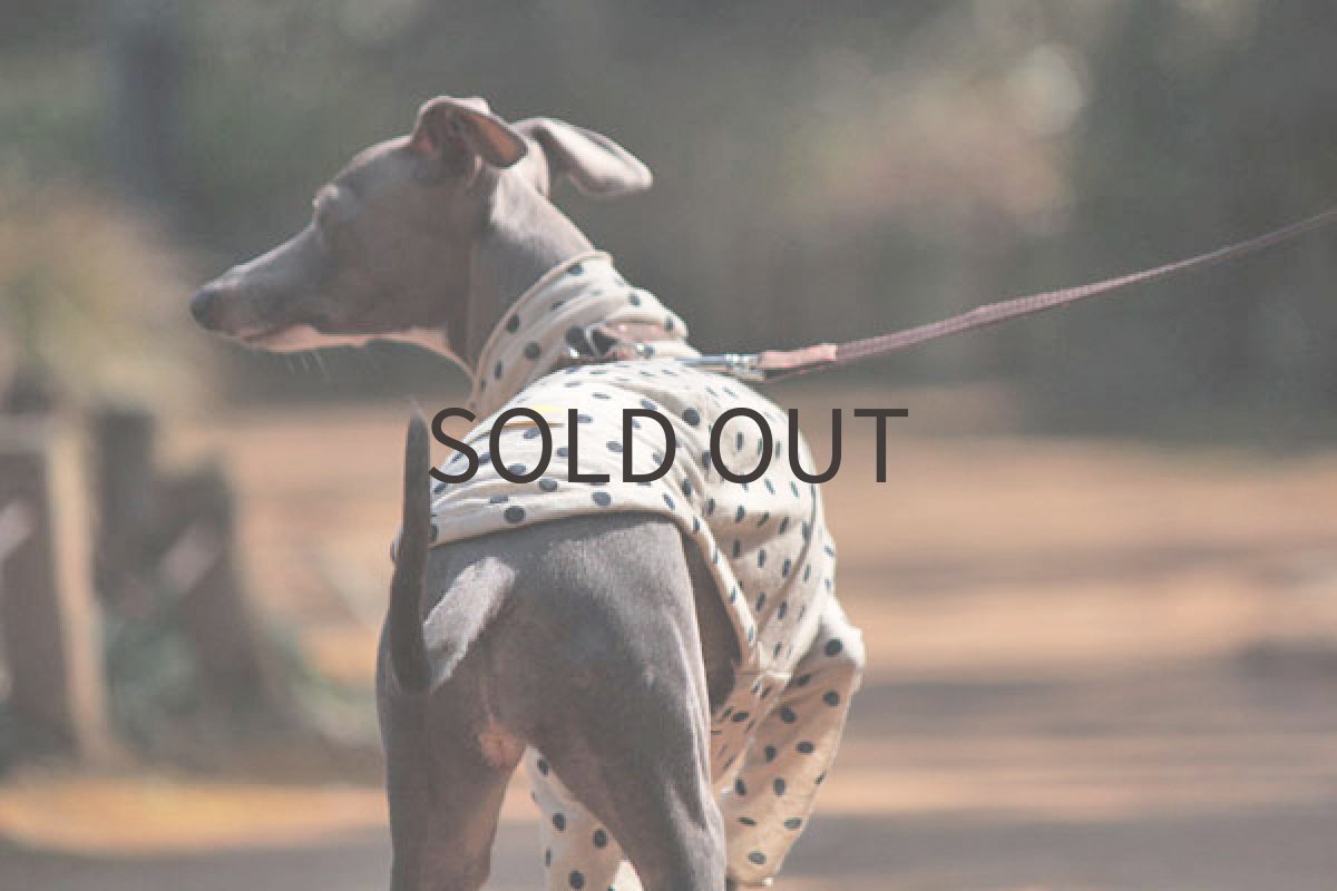 画像3: 春のクシュクシュ(かすれドット) (3)