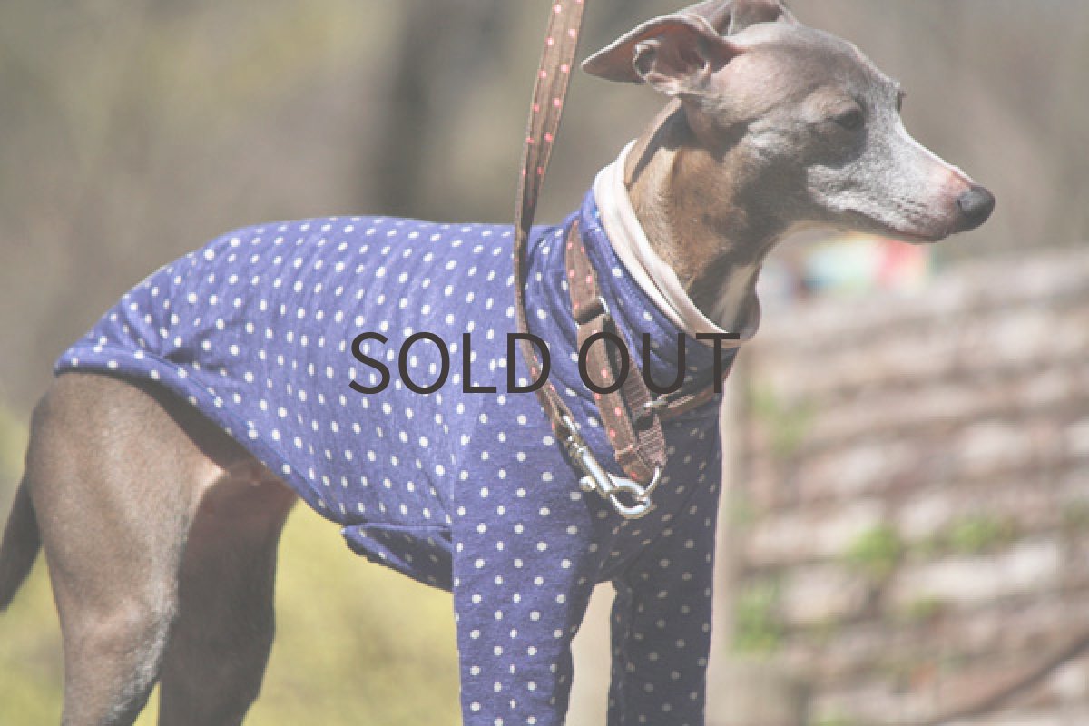 画像4: フレンチリネンのシャツ（ネイビー） (4)