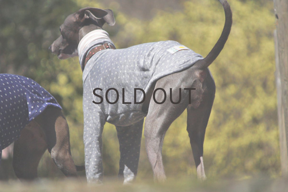 画像3: フレンチリネンのシャツ（シルバー） (3)