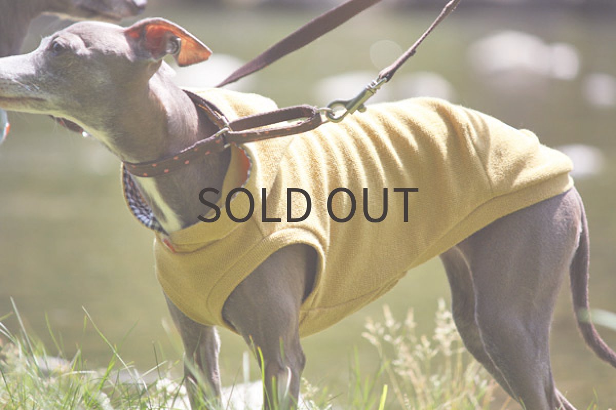 画像4: フレンチパイル（マスタード） (4)