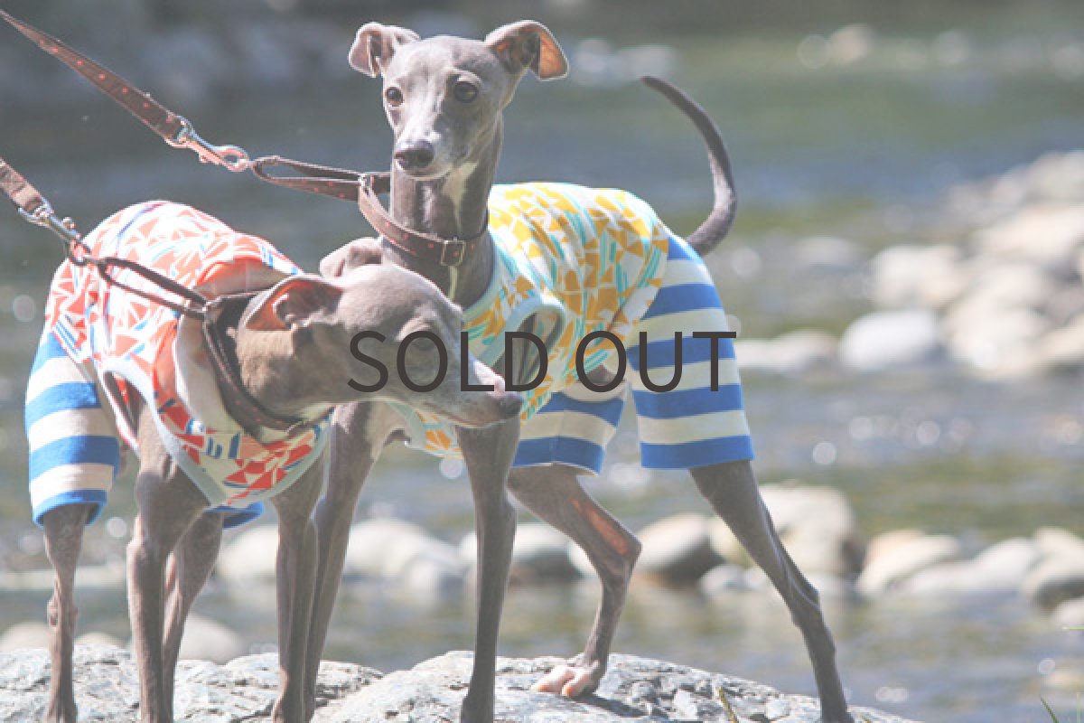 画像3: ヨットクルージング(イエロー) (3)