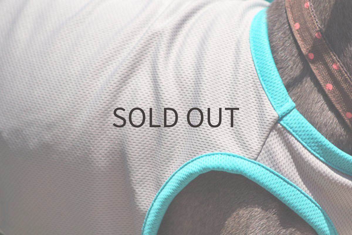 画像4: スポーツタンク(ライトグレー) (4)