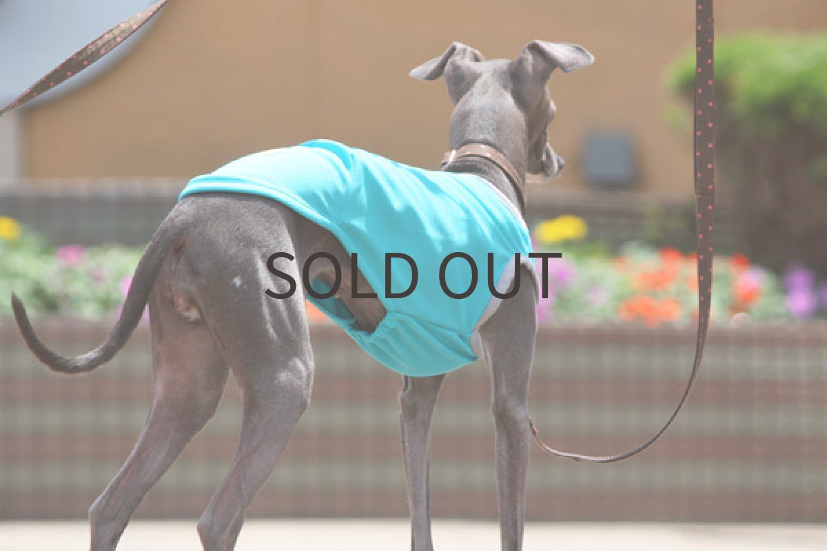 画像2: スポーツタンク(アトランティックブルー) (2)