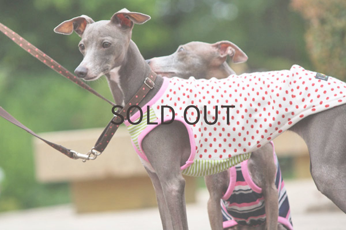 画像4: アップルグリーン (4)