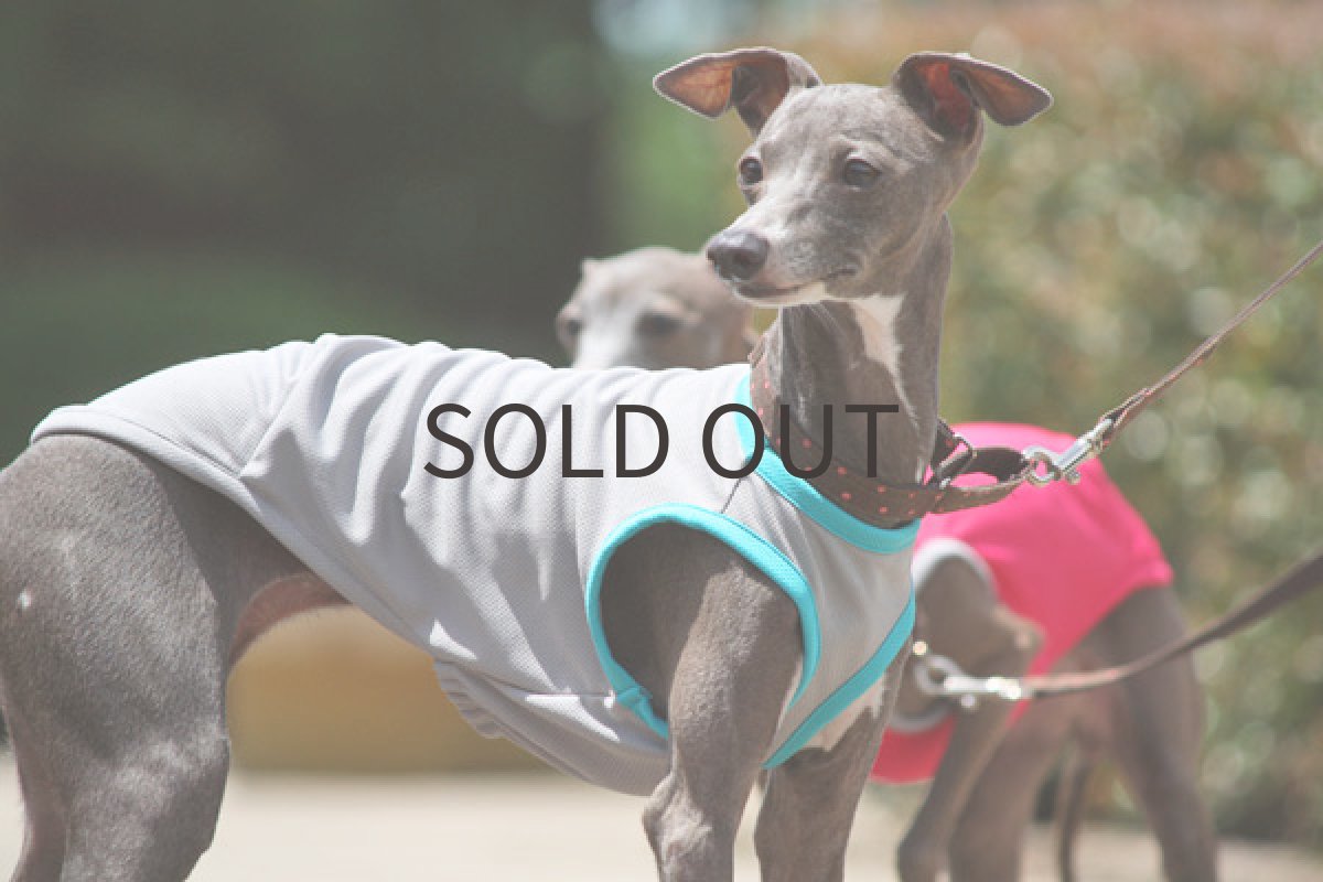 画像3: スポーツタンク(ライトグレー) (3)