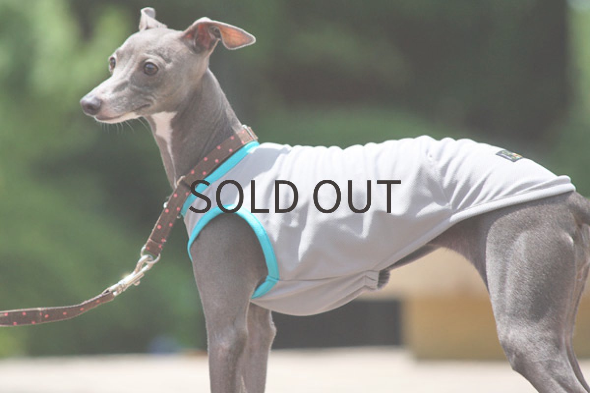 画像2: スポーツタンク(ライトグレー) (2)