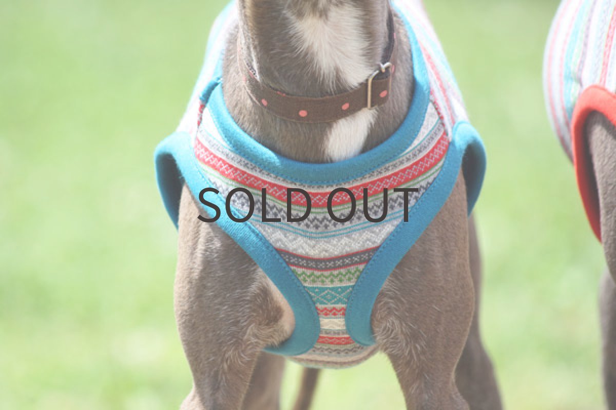 画像4: 山ガールシャツ (4)