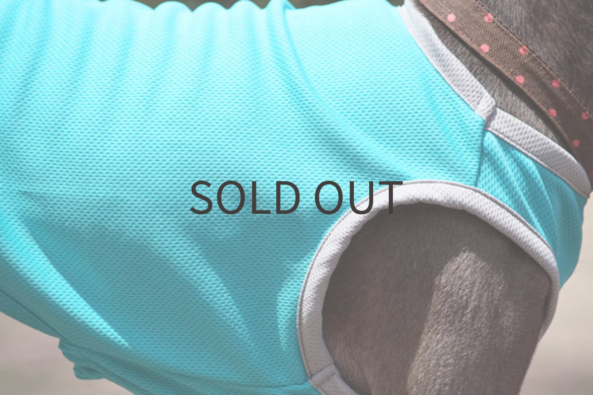 画像5: スポーツタンク(アトランティックブルー) (5)