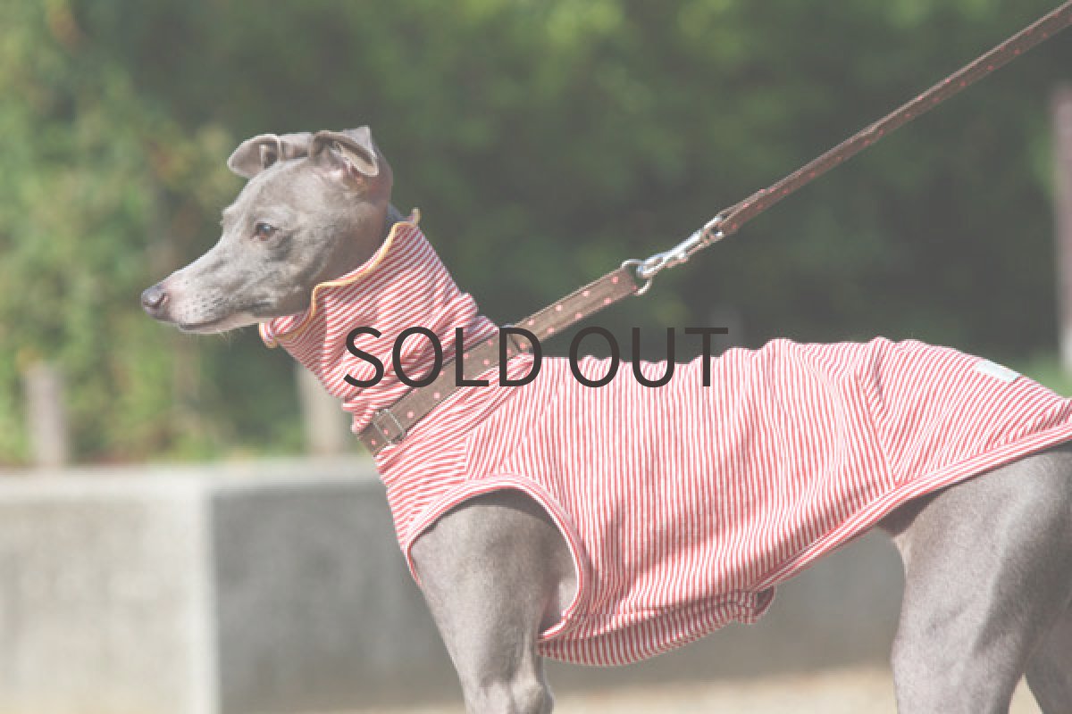 画像2: 夏のクシュクシュハイネック(レッド) (2)