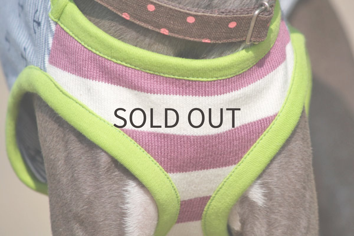 画像4: アンカーボーダーのシャツ (4)