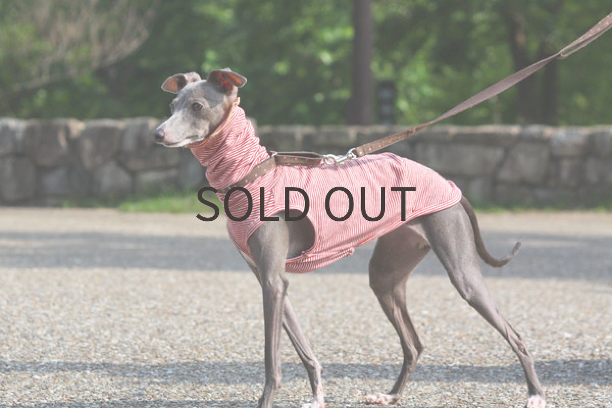 画像5: 夏のクシュクシュハイネック(レッド) (5)