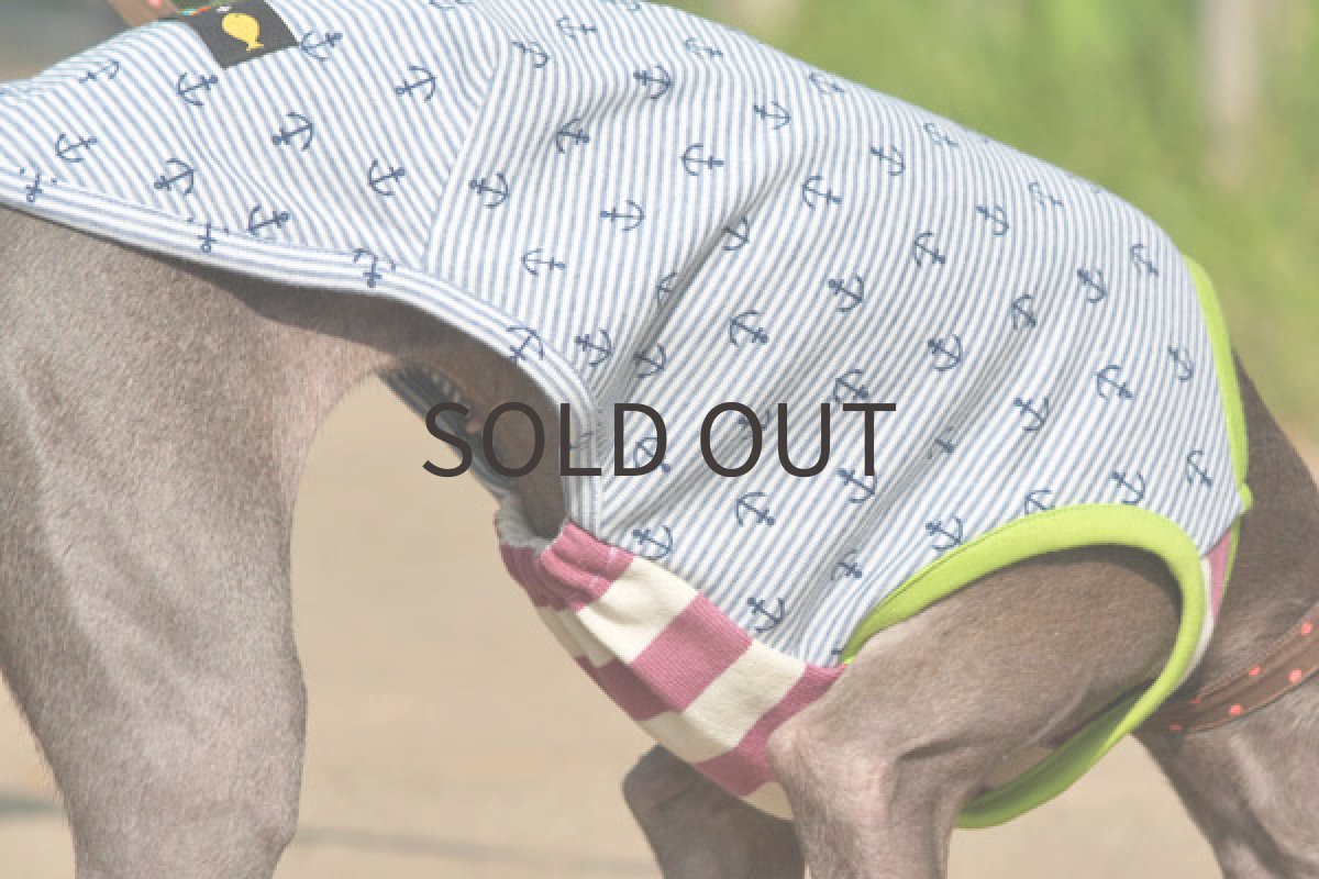 画像3: アンカーボーダーのシャツ (3)