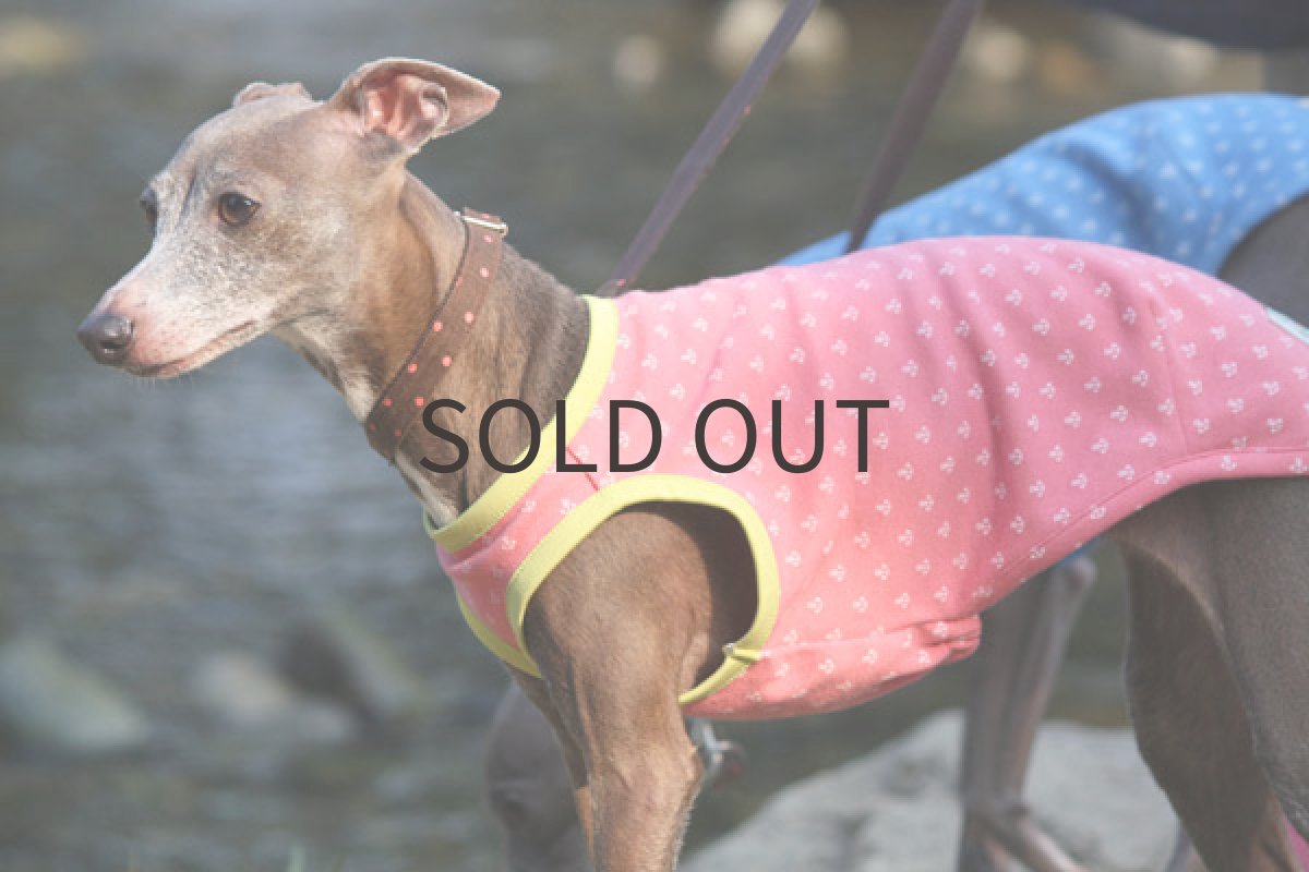 画像3: ホットピンクのイカリ (3)