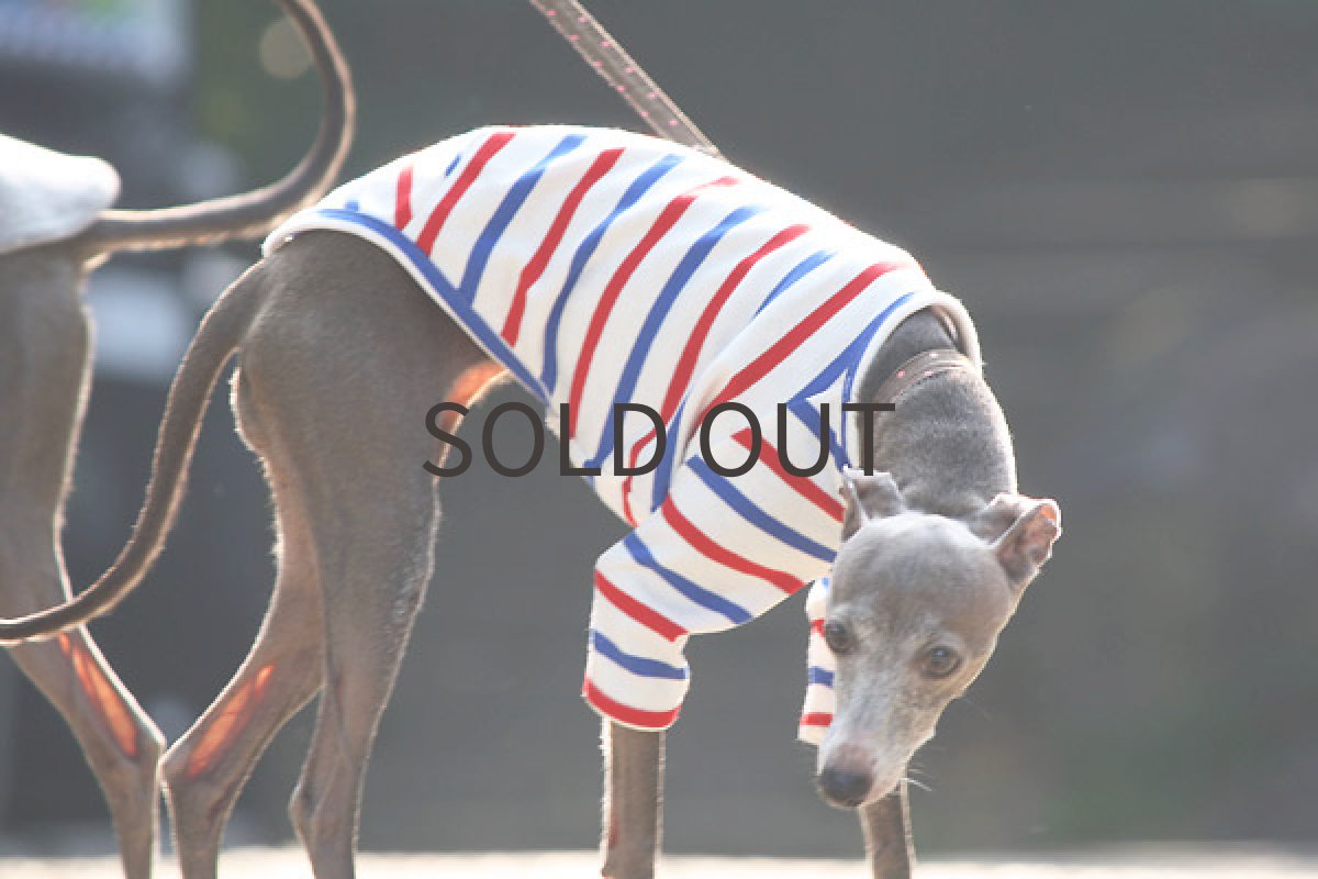 画像3: トリコロールカラーの七分袖 (3)