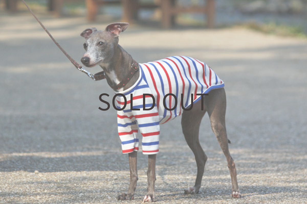 画像4: トリコロールカラーの七分袖 (4)