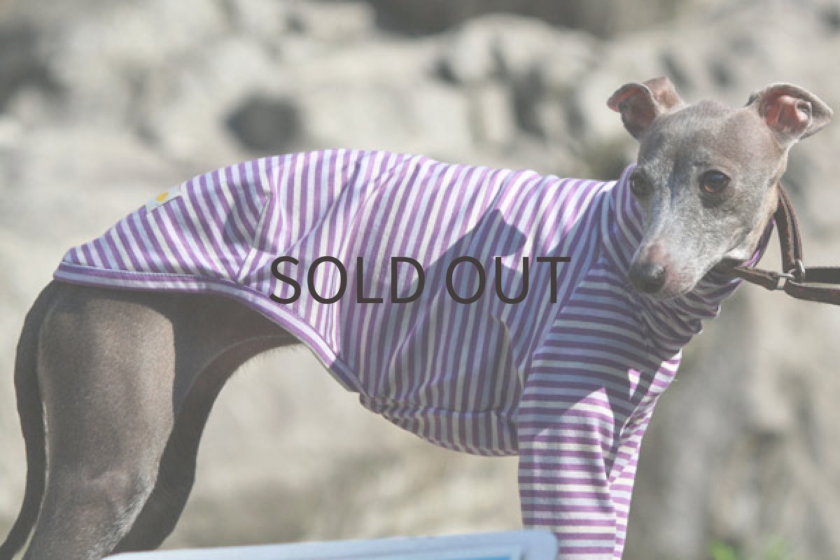 画像3: トーンボーダー（パープル) (3)