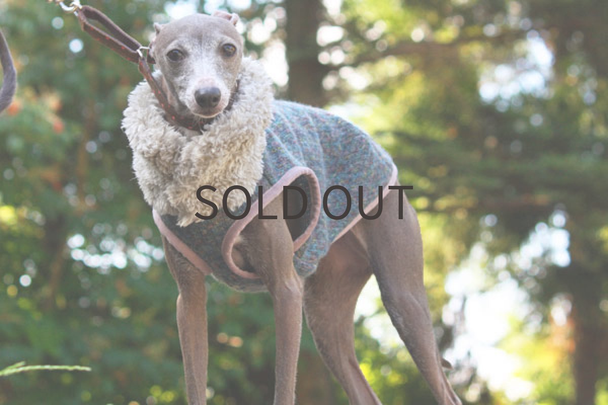 画像2: ミックスカラーベスト（ブルー） (2)