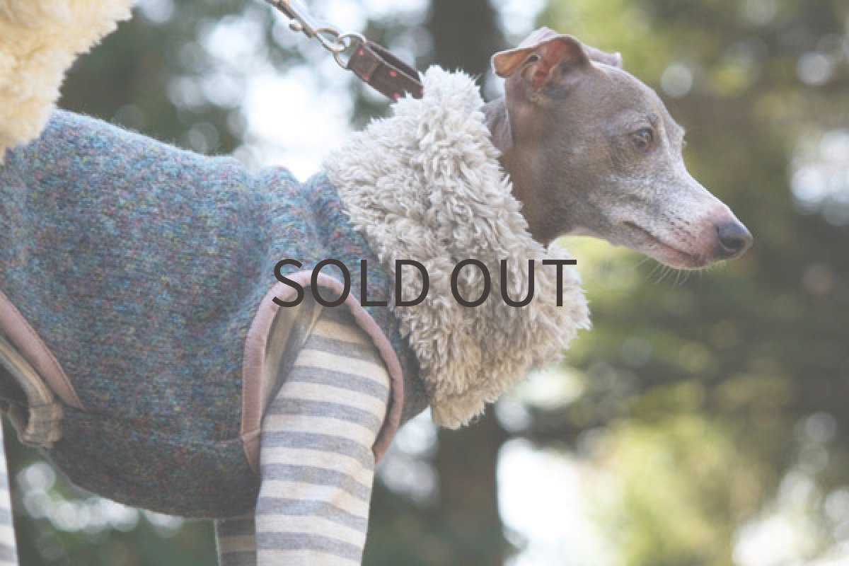 画像4: ミックスカラーベスト（ブルー） (4)