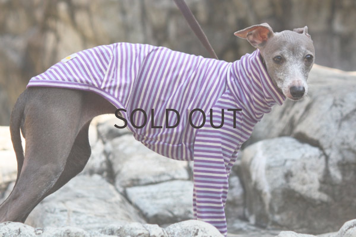 画像5: トーンボーダー（パープル) (5)